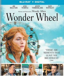 Колесо чудес / Wonder Wheel (2017) BDRip 1080p &#124; iTunes