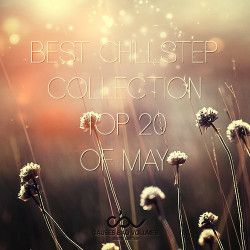 VA - Best Chillstep Collection [May] (2013) MP3