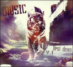 VA - Music Upsi Down V.1 (2012) MP3