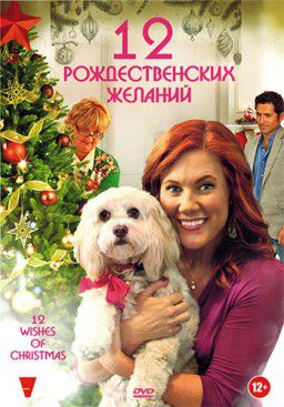 12 Рождественских желаний / 12 Wishes of Christmas (2011)
