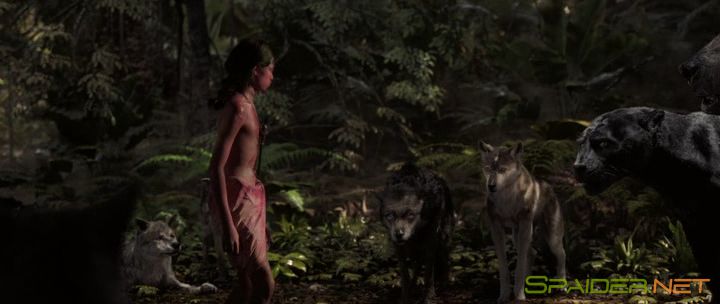 Маугли: Легенда джунглей / Mowgli (2018) WEB-DLRip &#124; Пифагор 2