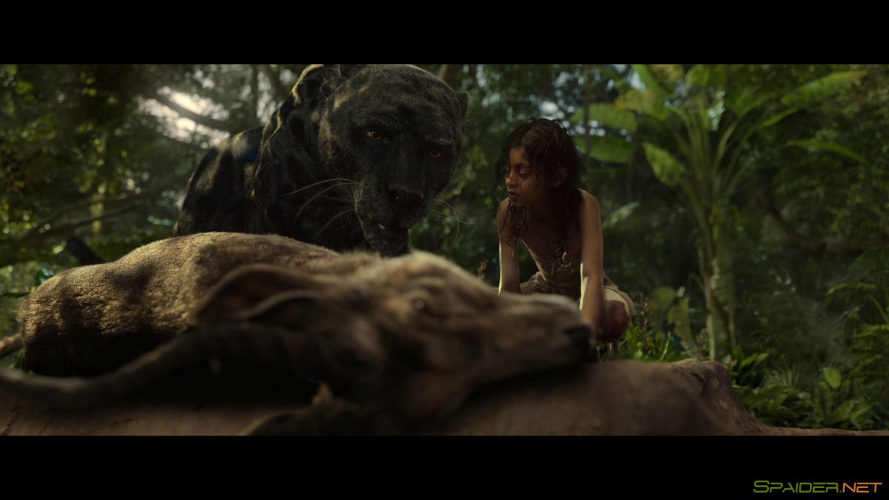Маугли: Легенда джунглей / Mowgli (2018) WEB-DL 1080p &#124; Пифагор 1