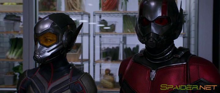 Человек-муравей и Оса / Ant-Man and the Wasp (2018) BDRip &#124; Лицензия 2