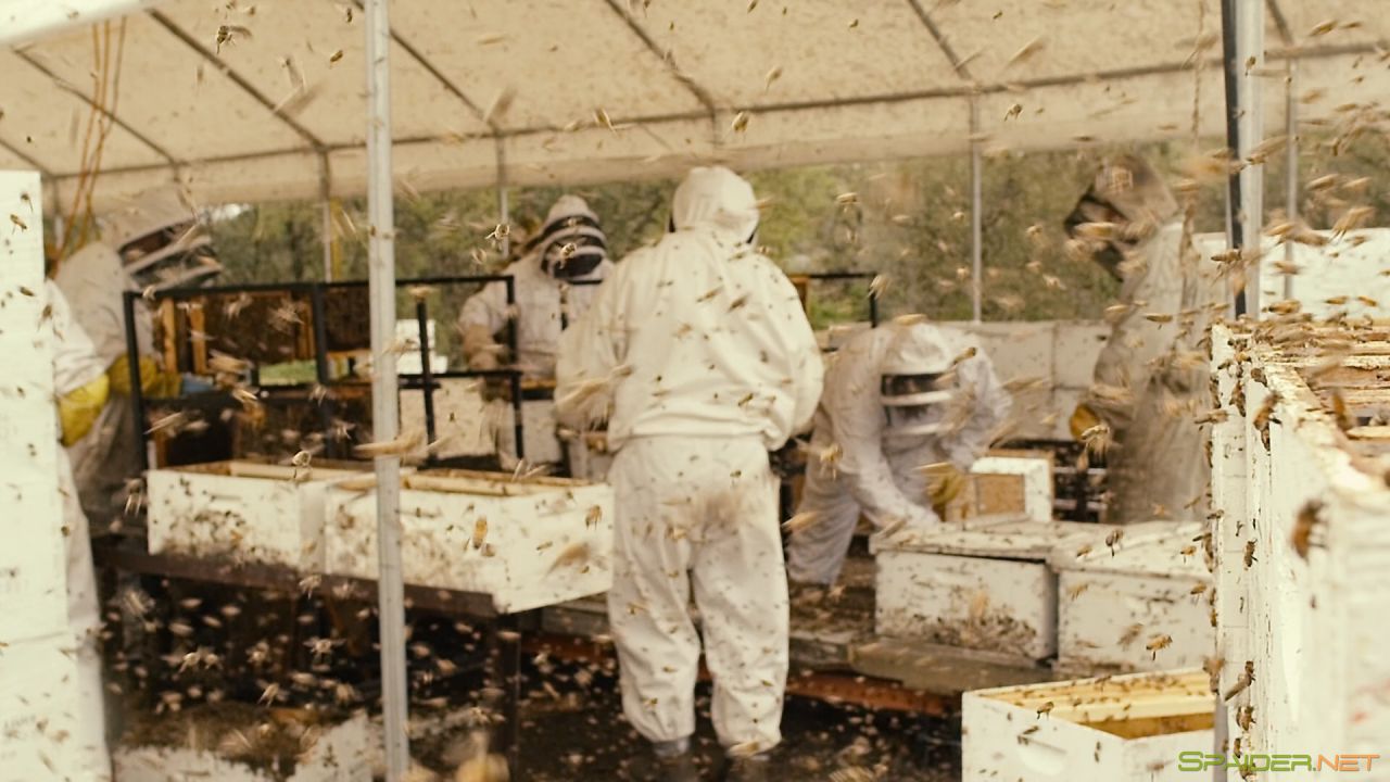 Больше чем мёд / More Than Honey (2012) BDRemux 1080p 8