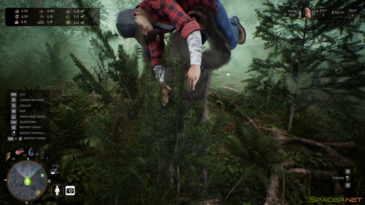 Bigfoot Life 3 Bigfoot Life 3