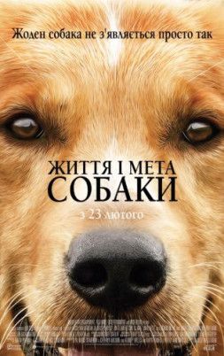 Собачья жизнь / A Dog&#39;s Purpose (2017) BDRip 1080p &#124; Ukr