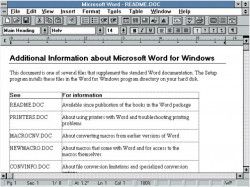 Microsoft Office 3.0