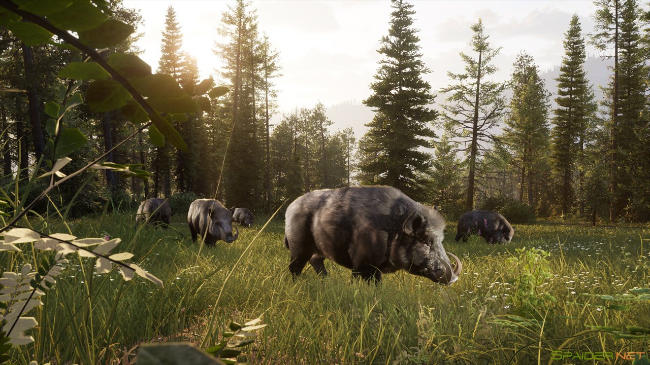 Way of the Hunter 2 0 Way of the Hunter 2 0