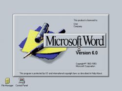 Microsoft Word 6.0x