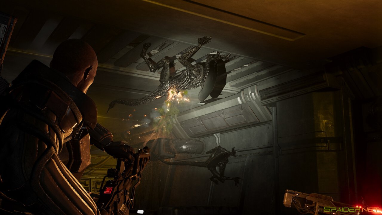Aliens: Fireteam Elite 2 3 Aliens: Fireteam Elite 2 3