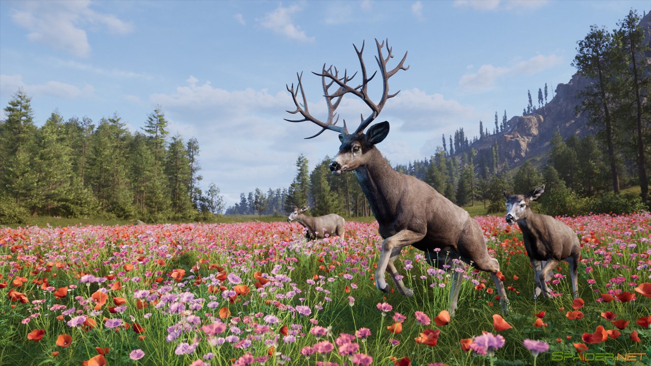 Way of the Hunter 2 2 Way of the Hunter 2 2