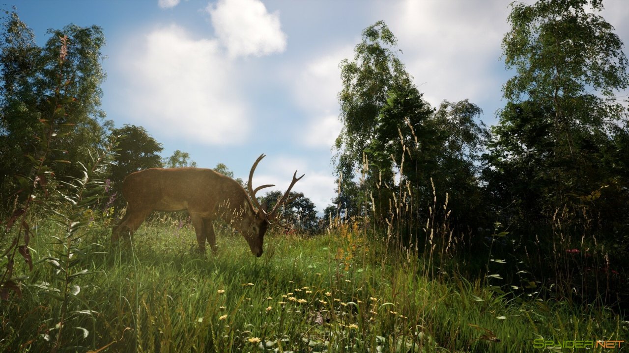 DREADZONE 3 DREADZONE 3