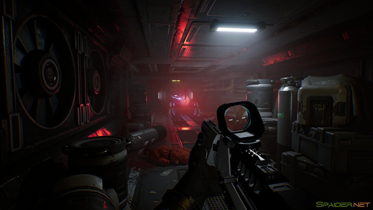 Species: Unknown 2 Species: Unknown 2