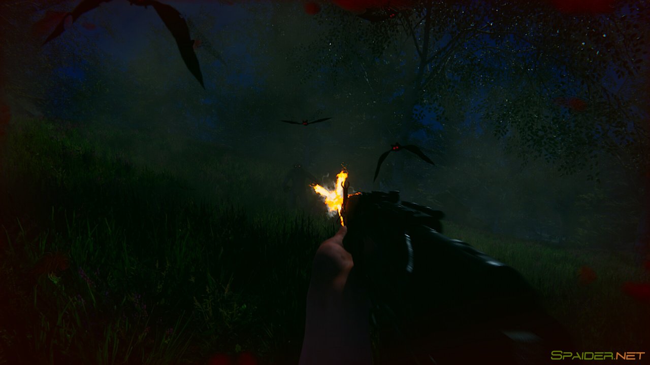 The Legacy 3 The Legacy 3