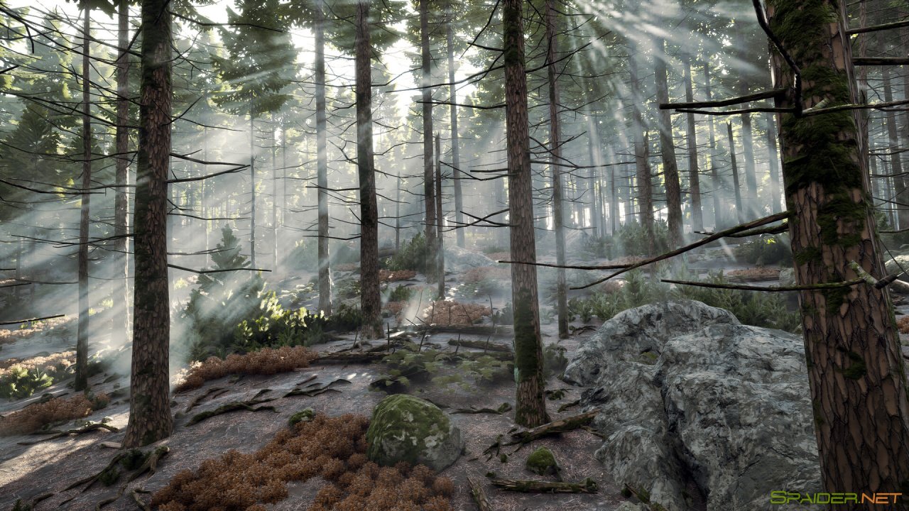 Prologue: Go Wayback! 0 Prologue: Go Wayback! 0